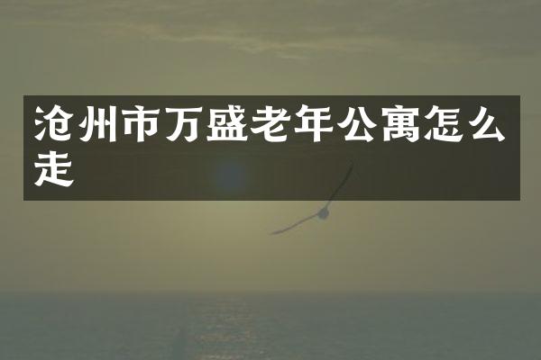 沧州市万盛老年公寓怎么走