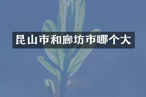 昆山市和廊坊市哪个大