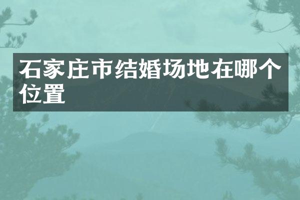 石家庄市结婚场地在哪个位置