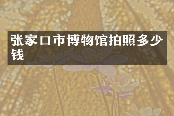 张家口市博物馆拍照多少钱