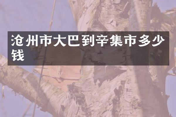 沧州市大巴到辛集市多少钱