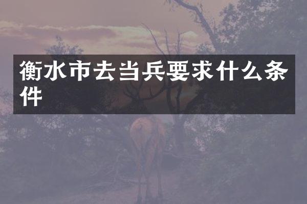衡水市去当兵要求什么条件