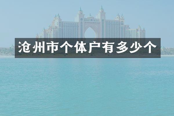 沧州市个体户有多少个