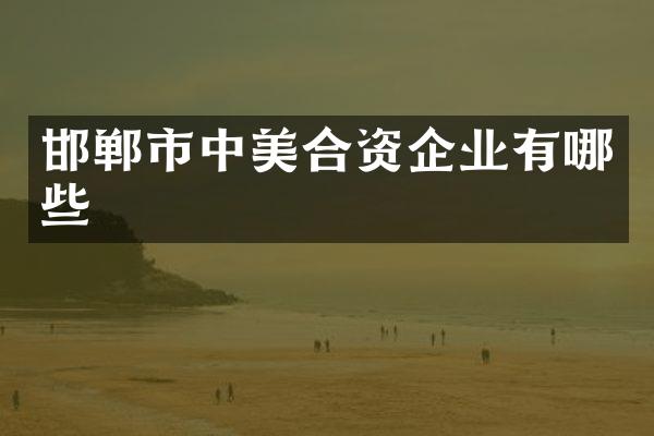 邯郸市中美合资企业有哪些