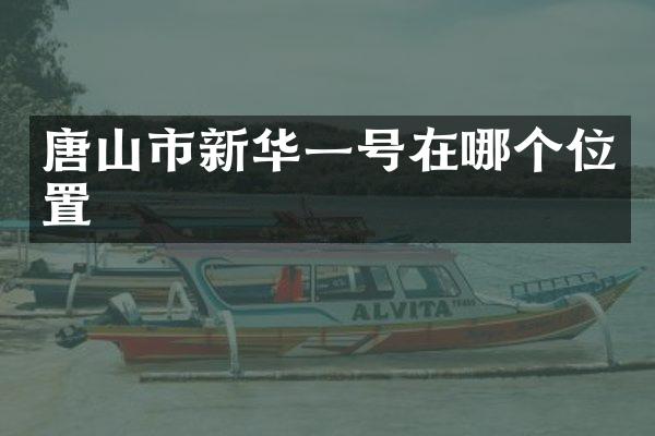 唐山市新华一号在哪个位置