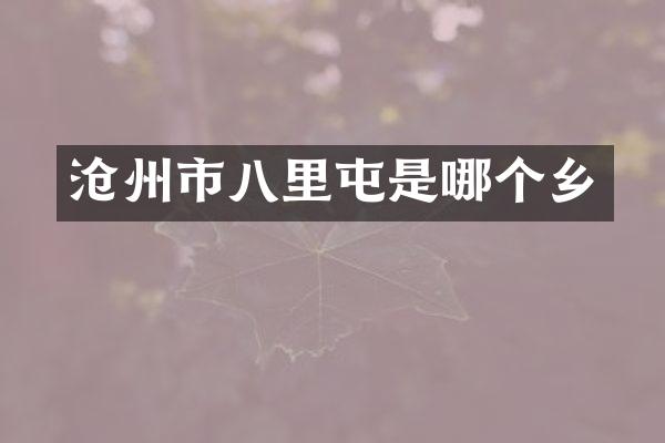 沧州市八里屯是哪个乡