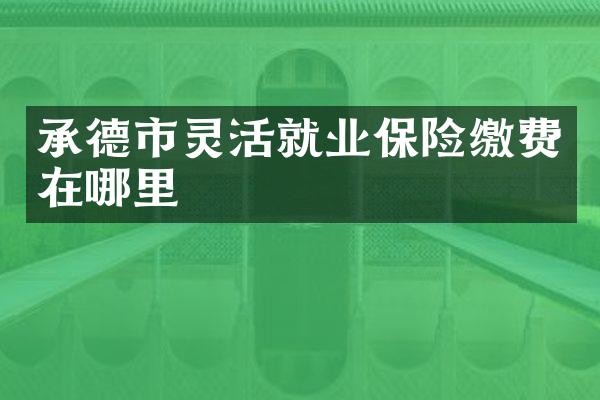 承德市灵活就业保险缴费在哪里