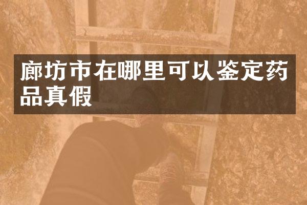 廊坊市在哪里可以鉴定药品真假