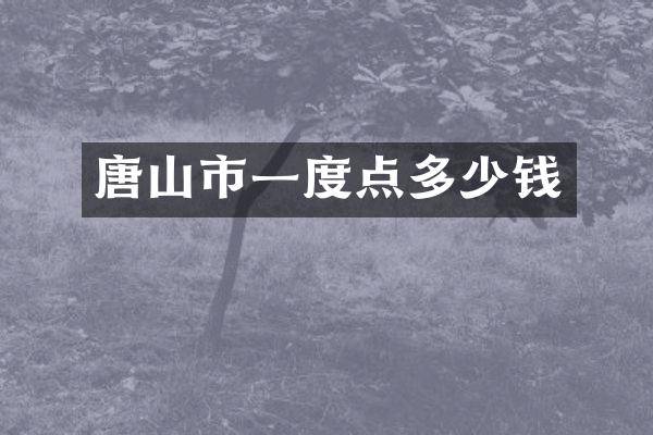 唐山市一度点多少钱