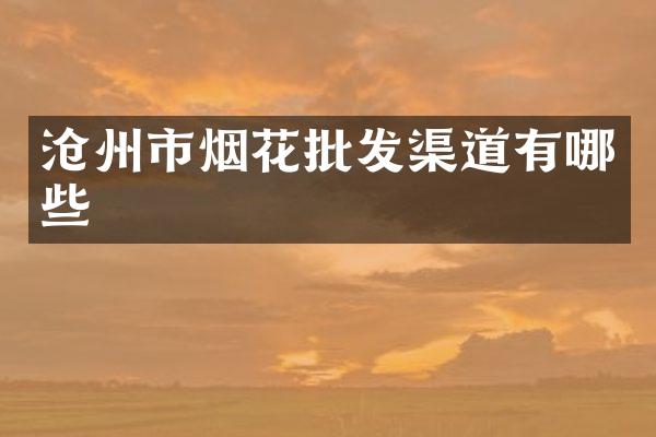 沧州市烟花批发渠道有哪些