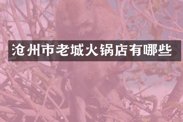 沧州市老城火锅店有哪些