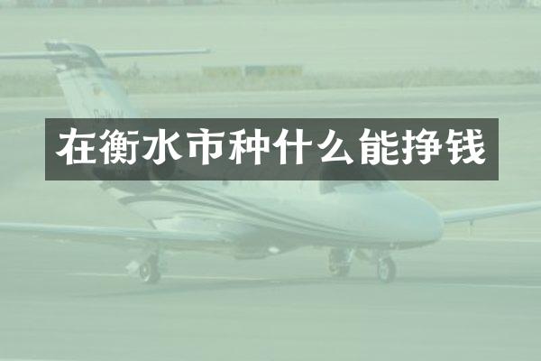 在衡水市种什么能挣钱