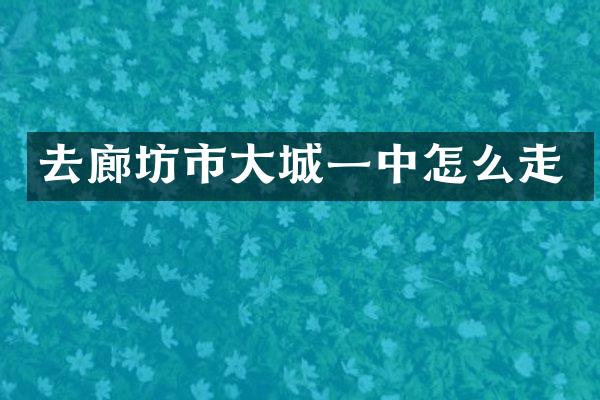 去廊坊市大城一中怎么走