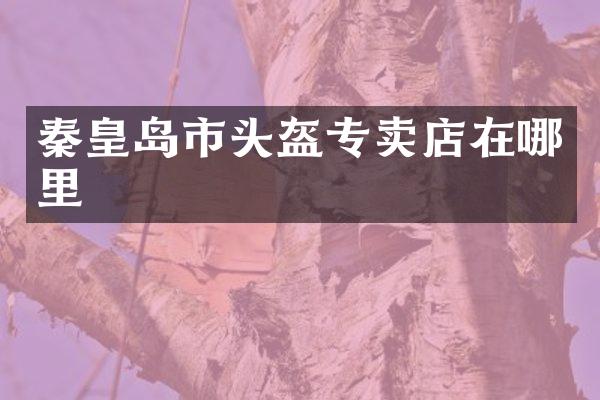 秦皇岛市头盔专卖店在哪里