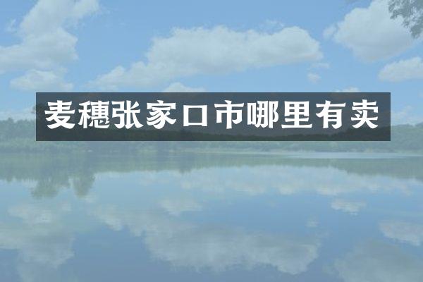 麦穗张家口市哪里有卖