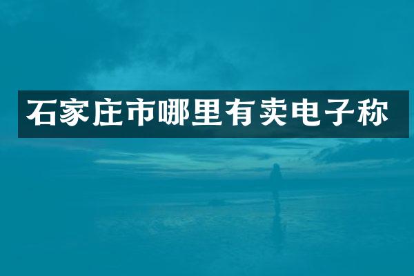 石家庄市哪里有卖电子称