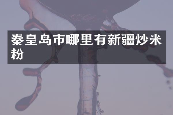 秦皇岛市哪里有新疆炒米粉