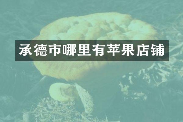 承德市哪里有苹果店铺