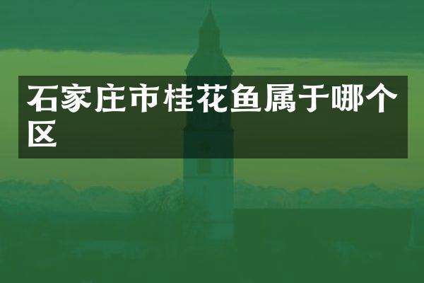 石家庄市桂花鱼属于哪个区