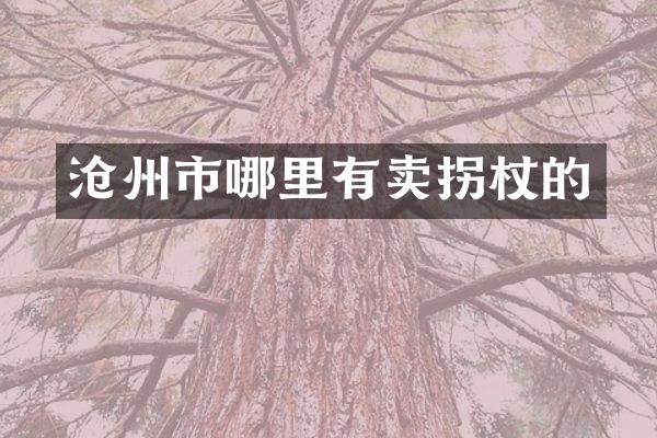 沧州市哪里有卖拐杖的