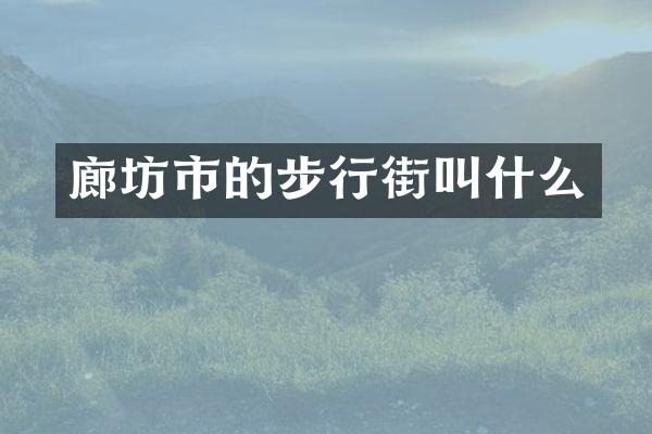 廊坊市的步行街叫什么