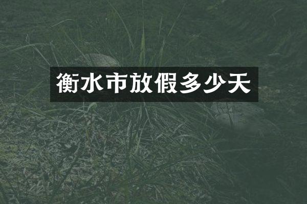 衡水市放假多少天