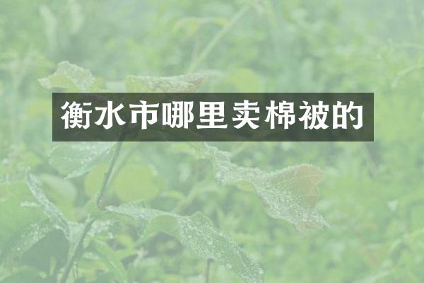 衡水市哪里卖棉被的