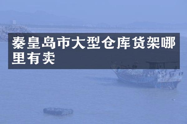 秦皇岛市大型仓库货架哪里有卖