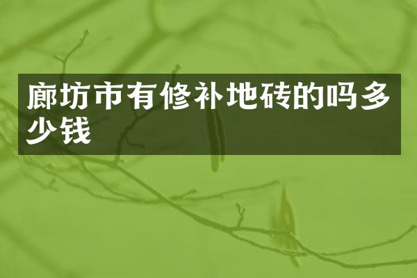 廊坊市有修补地砖的吗多少钱