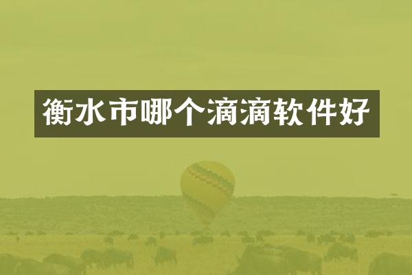 衡水市哪个滴滴软件好