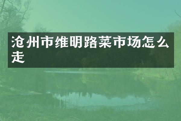 沧州市维明路菜市场怎么走