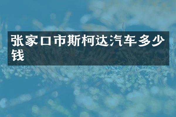 张家口市斯柯达汽车多少钱