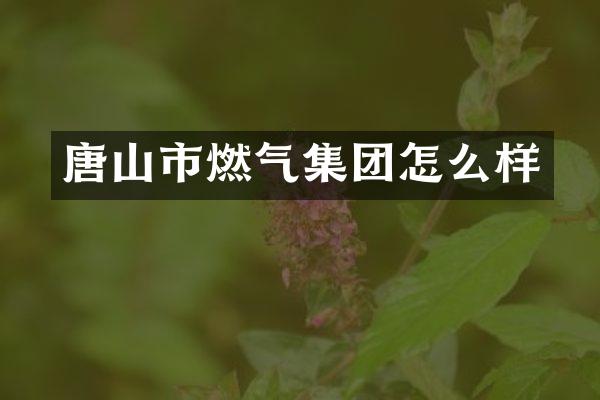 唐山市燃气集团怎么样