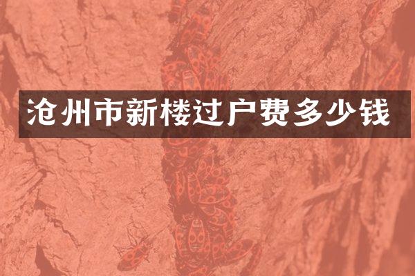沧州市新楼过户费多少钱