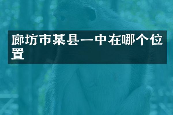 廊坊市某县一中在哪个位置