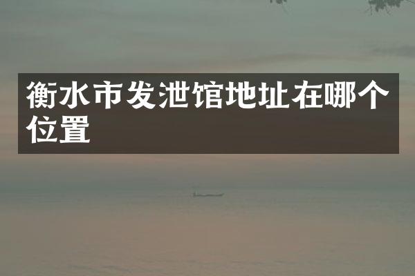 衡水市发泄馆地址在哪个位置