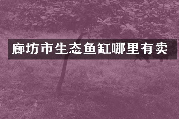 廊坊市生态鱼缸哪里有卖