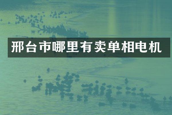 邢台市哪里有卖单相电机