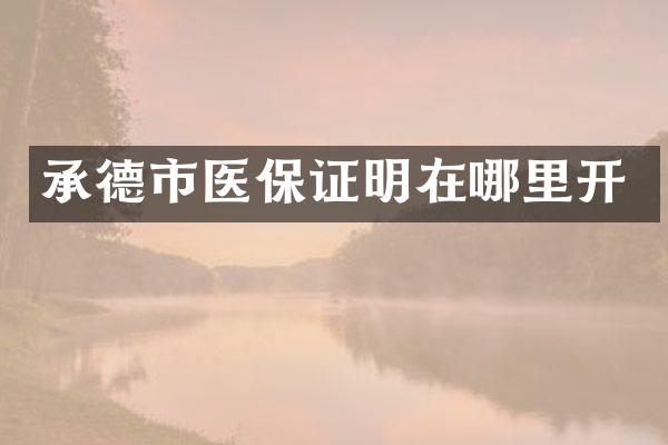 承德市医保证明在哪里开