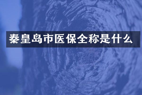 秦皇岛市医保全称是什么