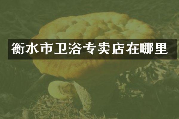 衡水市卫浴专卖店在哪里