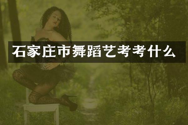 石家庄市舞蹈艺考考什么
