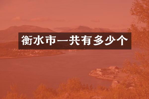 衡水市一共有多少个