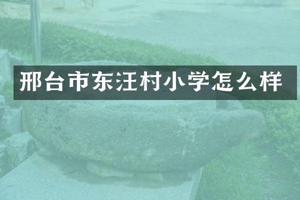 邢台市东汪村小学怎么样