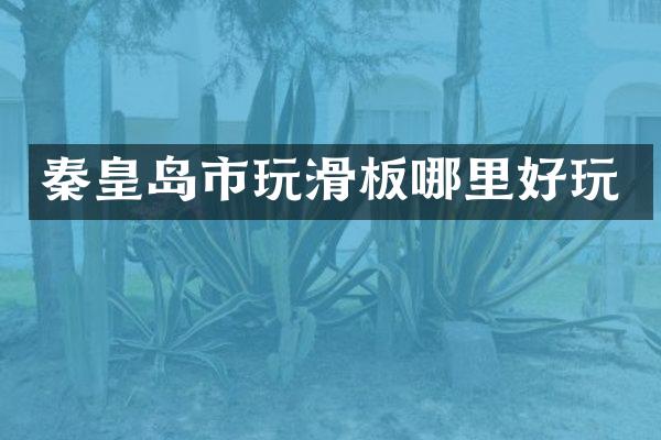 秦皇岛市玩滑板哪里好玩