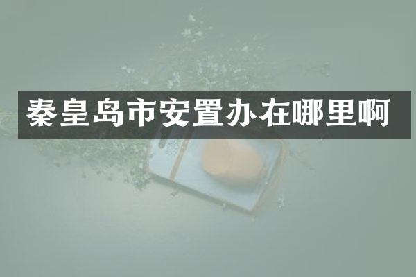 秦皇岛市安置办在哪里啊