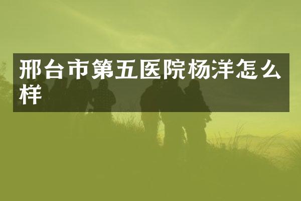 邢台市第五医院杨洋怎么样