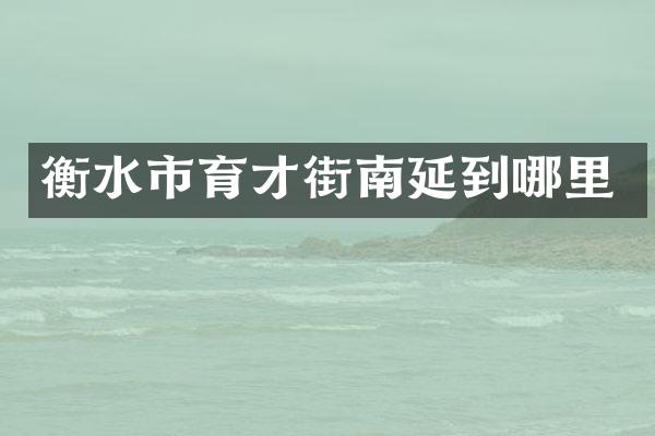 衡水市育才街南延到哪里