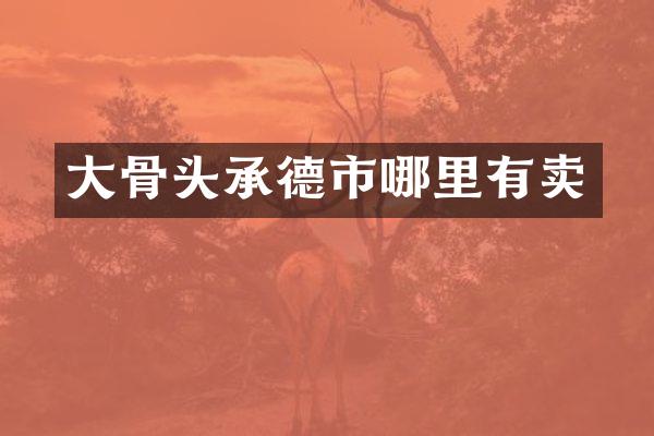 大骨头承德市哪里有卖