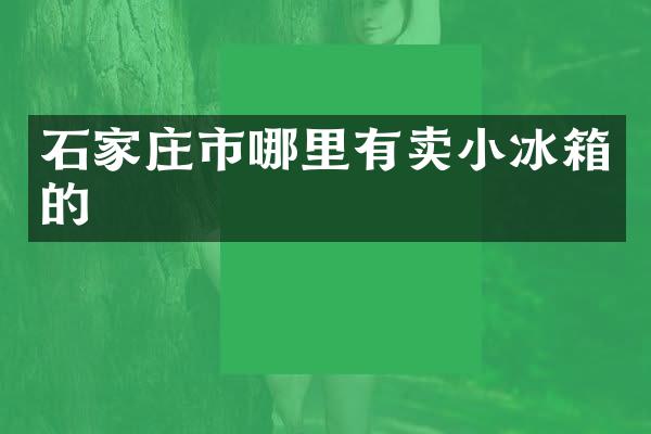 石家庄市哪里有卖小冰箱的